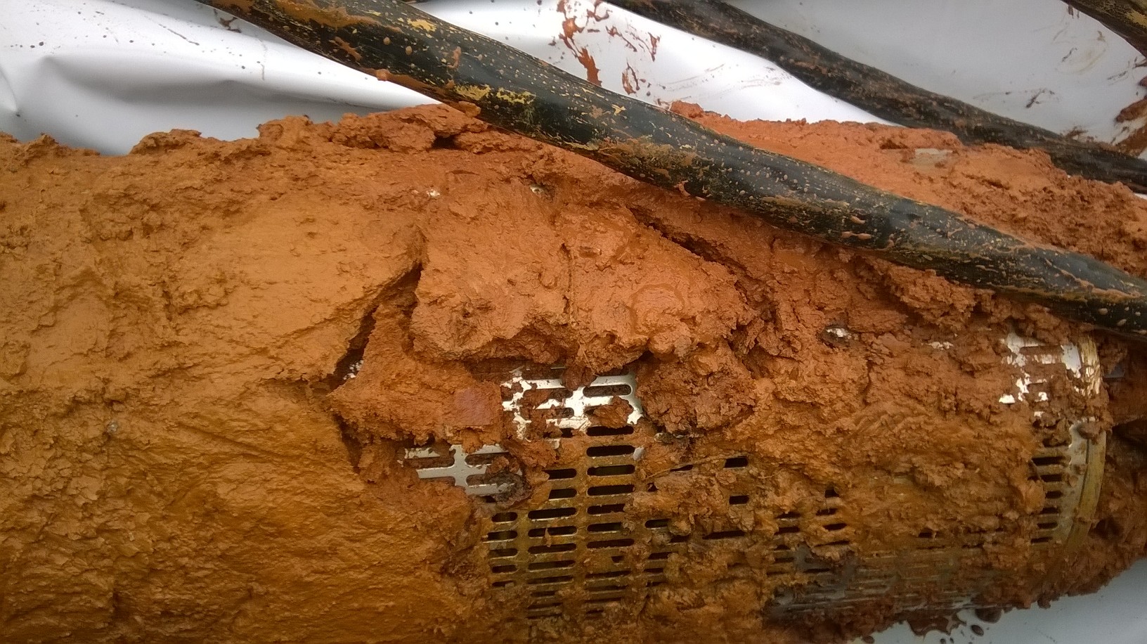 Iron Related Bacteria